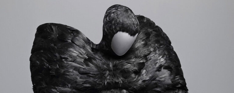 Analogie 1 : Alexender McQueen et les plumes.